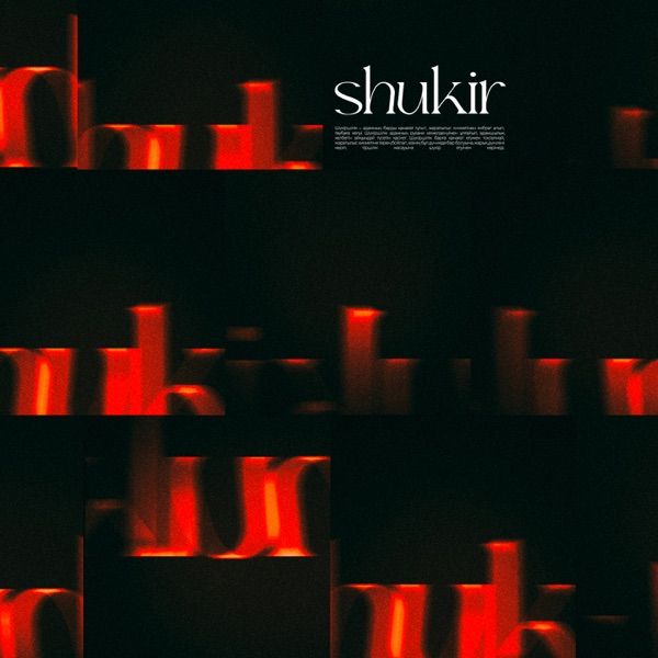 1nelyk – Shukir