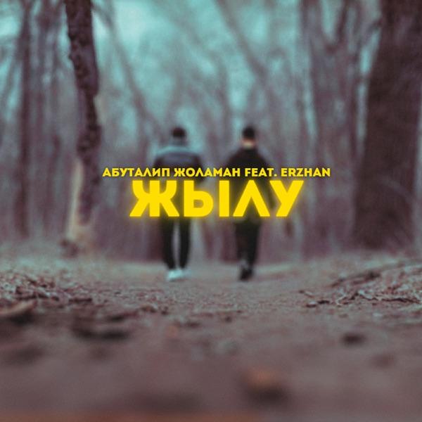 Абуталип Жоламан – Түн