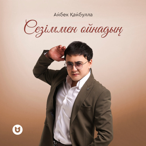 Айбек Қайбулла - Сезіммен ойнадың