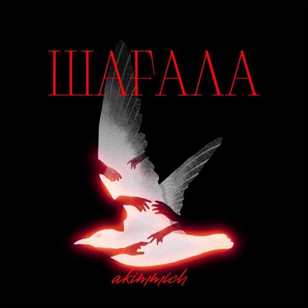 Akimmmich – Шағала