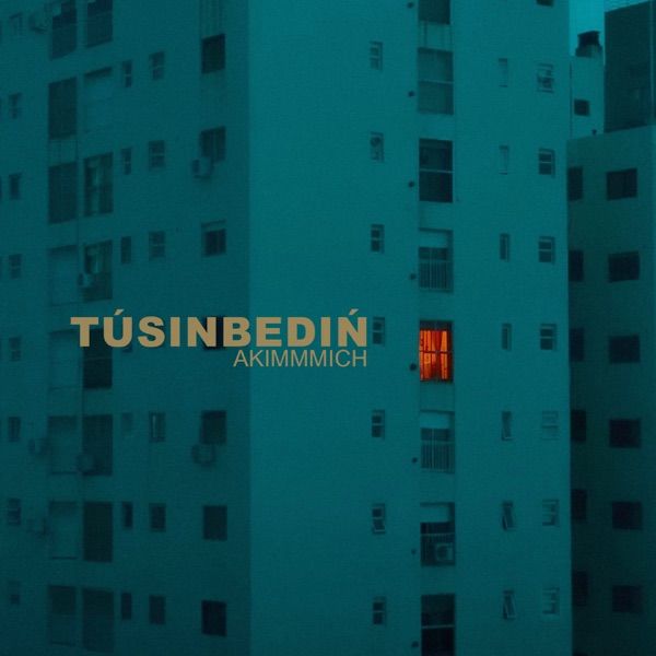 Akimmmich – Túsіnbedіń