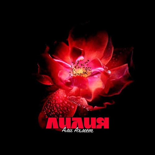 Али Ахмет – Лилия