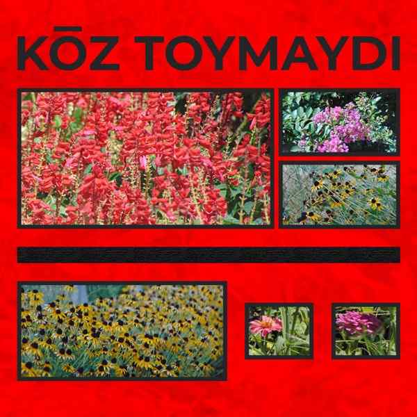 Asqar & `kmd – Kōz Toymaydı