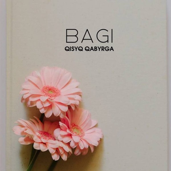 BaGi – Qisyq qabyrga
