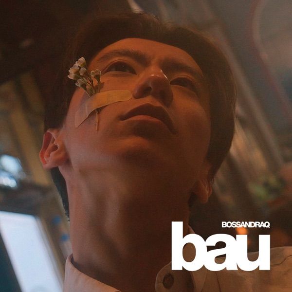 BOSSANDRAQ – Bau