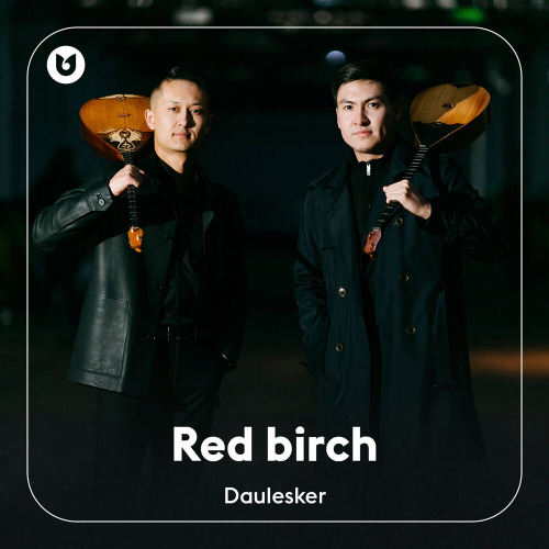Daulesker - Red birch