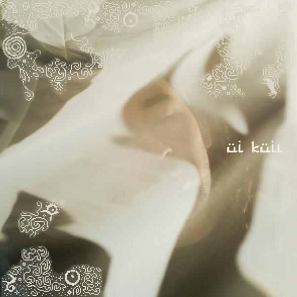 Dudeontheguitar feat. Steppe sons – Ui kuiı