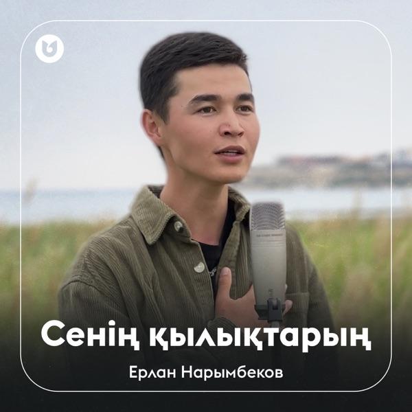 Ерлан Нарымбеков – Сенің қылықтарың
