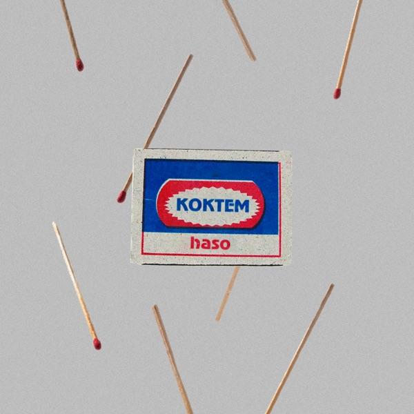 Haso - koktem