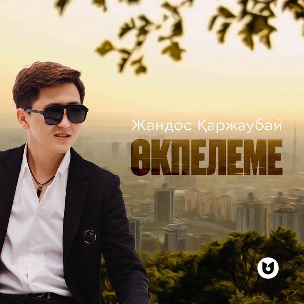Жандос Қаржаубай – Өкпелеме