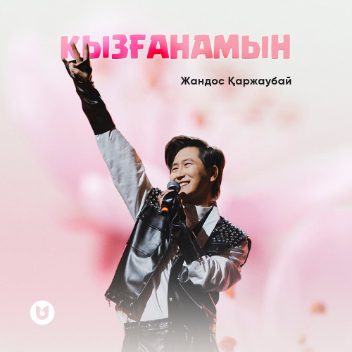 Жандос Қаржаубай - Қызғанамын