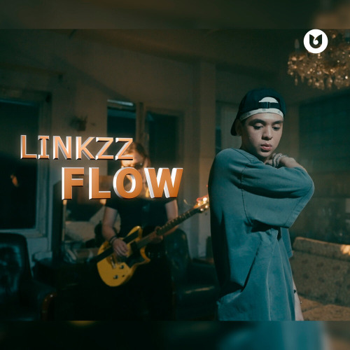 Linkzz - Flow