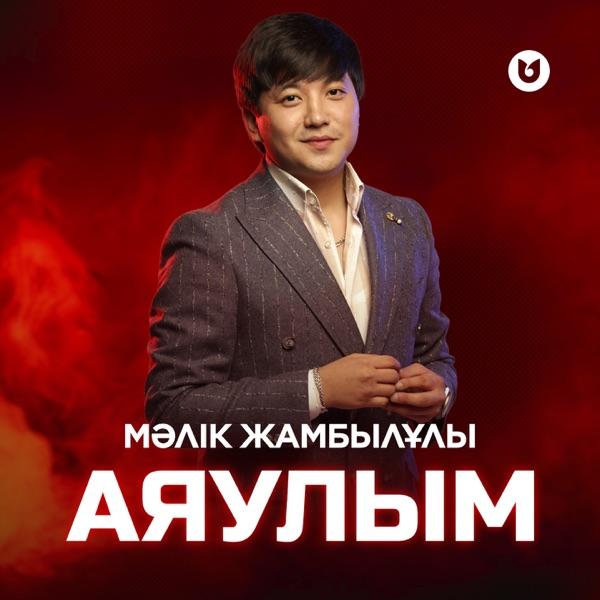 Мәлік Жамбылұлы – Аяулым