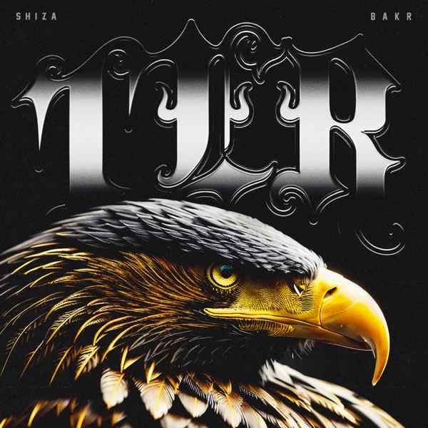 Shiza & Bakr – TER